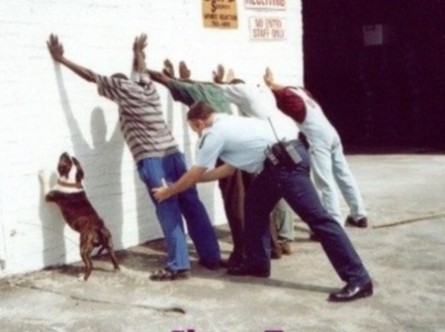 Police Checking Funny Men And Dog Funny Picture