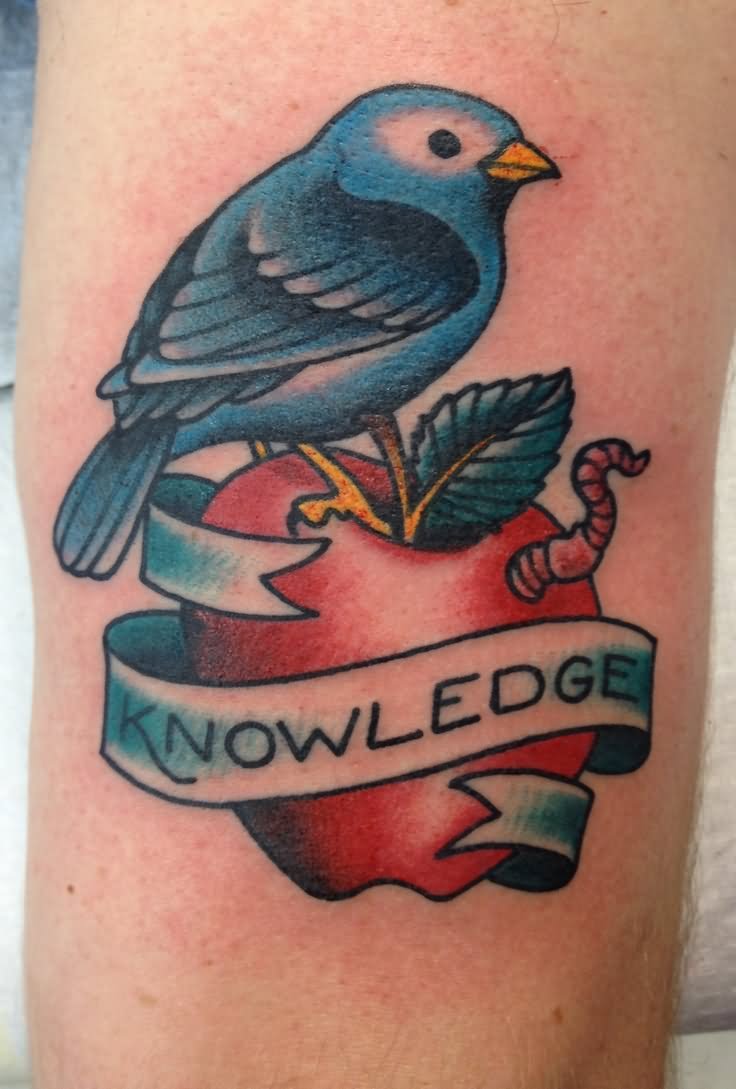 Red Apple With Bird And Banner Tattoo Design