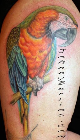 Simple Colorful Parrot Tattoo Design For Half Sleeve