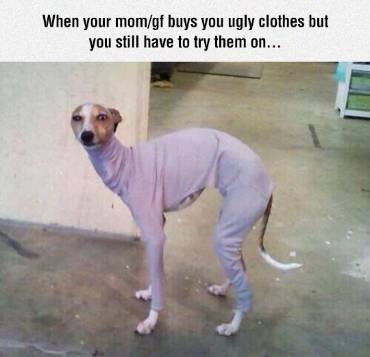 Skinny Clothes For Dog Funny Picture