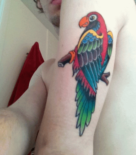 Traditional Colorful Parrot Tattoo On Man Left Half Sleeve