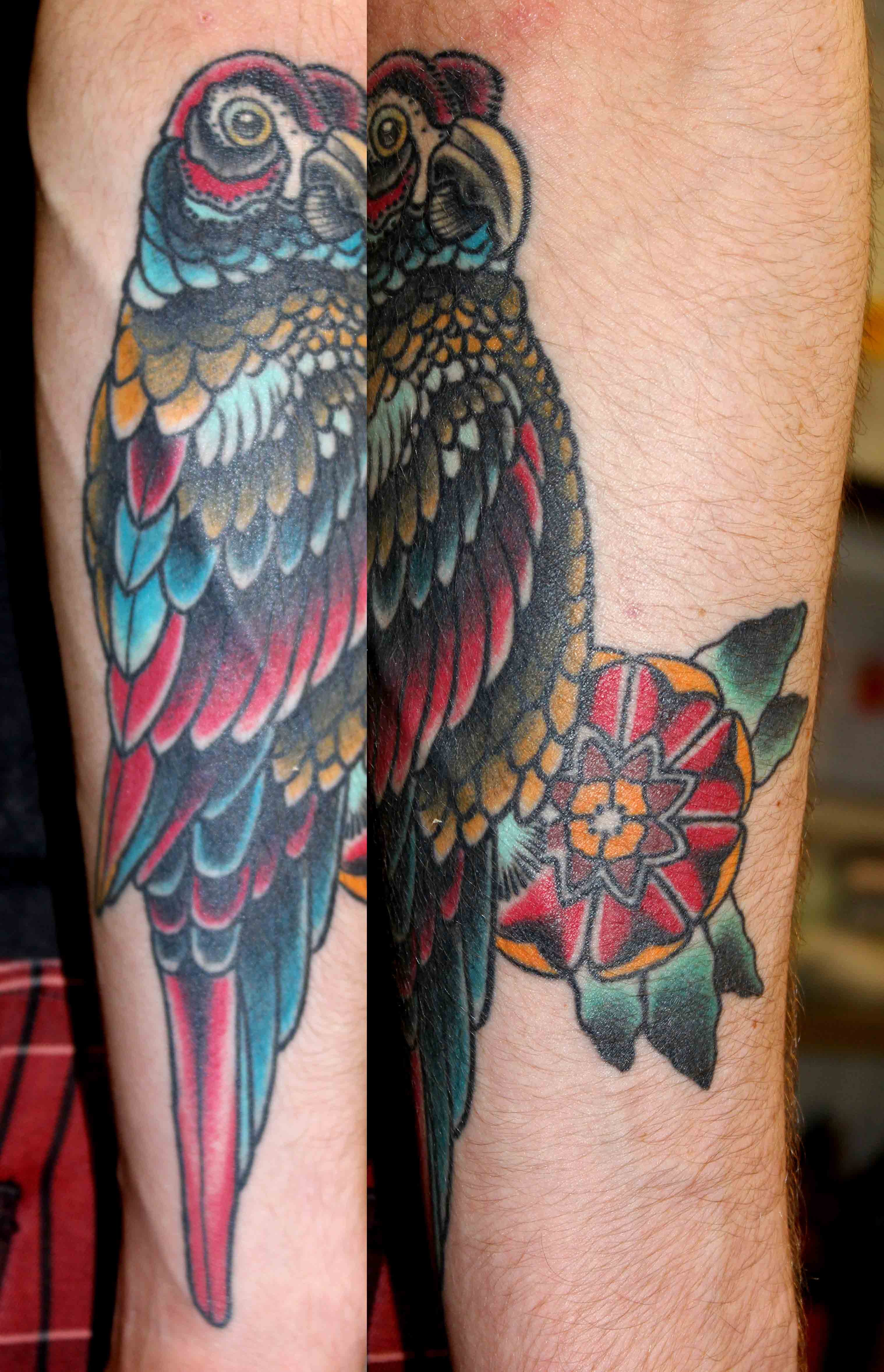 Traditional Parrot Tattoo Design For Arm