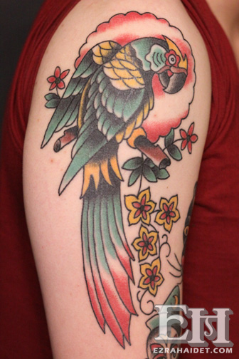 Traditional Parrot Tattoo On Right Shoulder