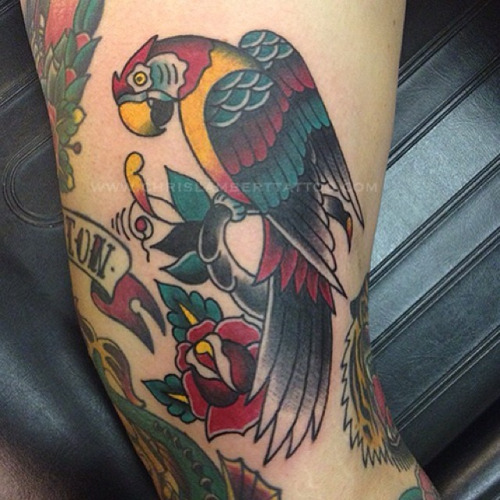 Traditional Parrot With Rose Tattoo Design For Sleeve