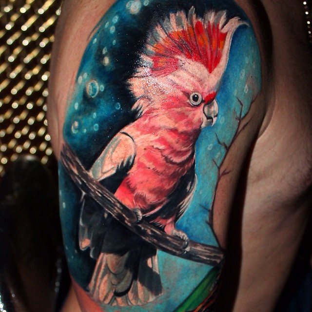Unique Parrot Tattoo Sit On Branch Tattoo On Right Shoulder