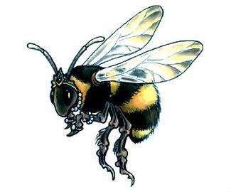 Amazing Flying Bee Tattoo Design