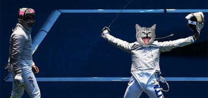 Cat Fencing Funny Image