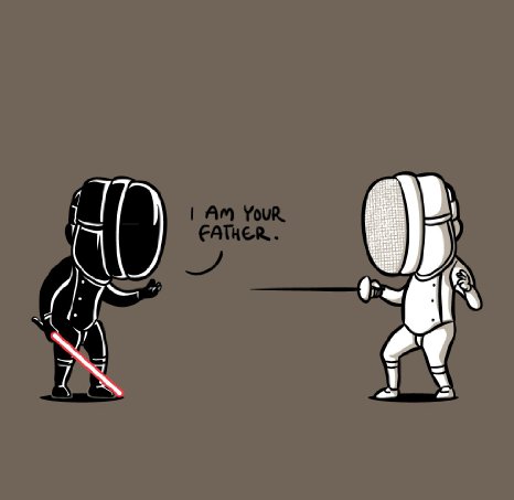 Darth Vader Funny Fencing Image