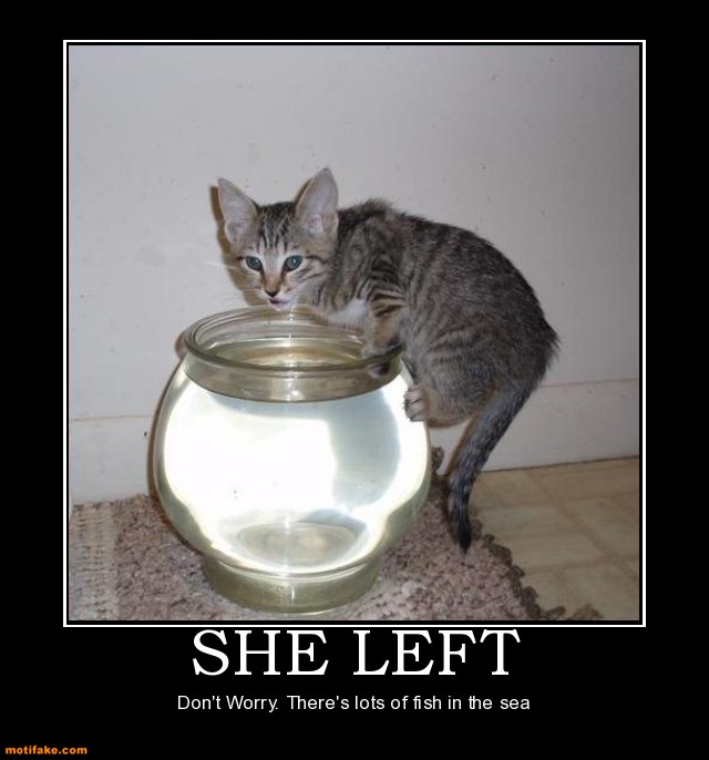 Don’t Worry There’s Lots Of Fish In The Sea Funny Cat Inspirational Image