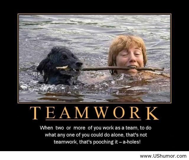 Funny Inspirational Teamwork Picture
