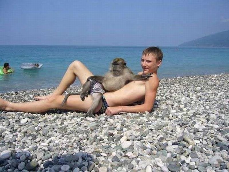 Funny Man With Monkey Taking Sun Bath On Beach