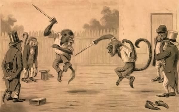 Funny Monkeys Fencing Image