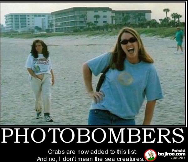 Funny Photo Bombers Beach Picture