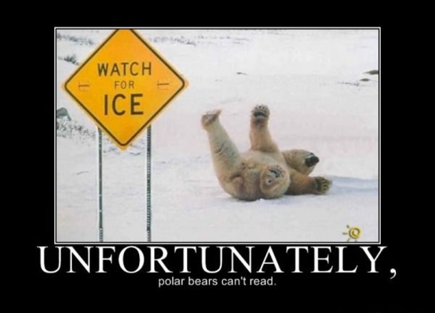 Funny Polar Bears Can't Read Inspirational Image