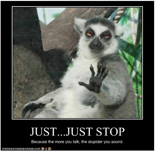 Funny Raccoon Say Just Stop Because The More You Talk The Stupider You Sound