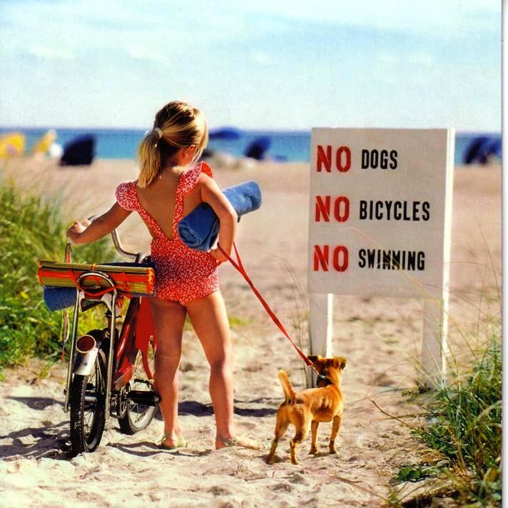 Funny Sign Board On Beach Girl Picture