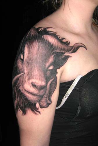 Goat Capricorn Tattoo On Girl Right Shoulder