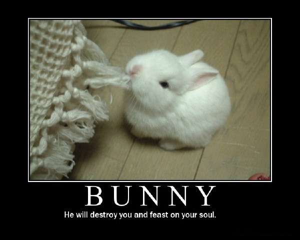 He Will Destroy You And Feast On Your Soul Funny Inspirational Bunny Image