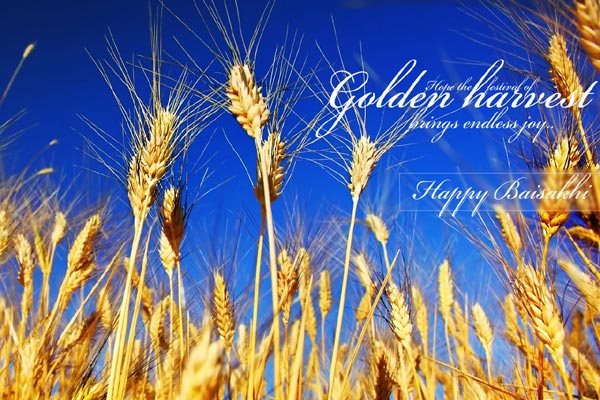 Hope The Festival Of Golden Harvest Brings Endless Joy Happy Baisakhi