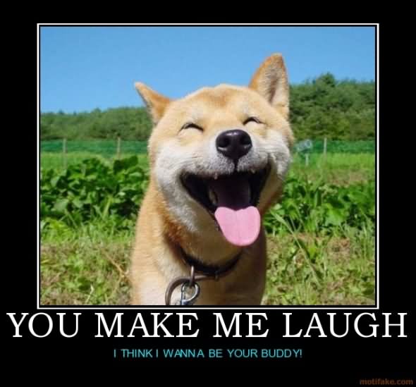 I Think I Wanna Be Your Buddy Funny Inspirational Dog Image