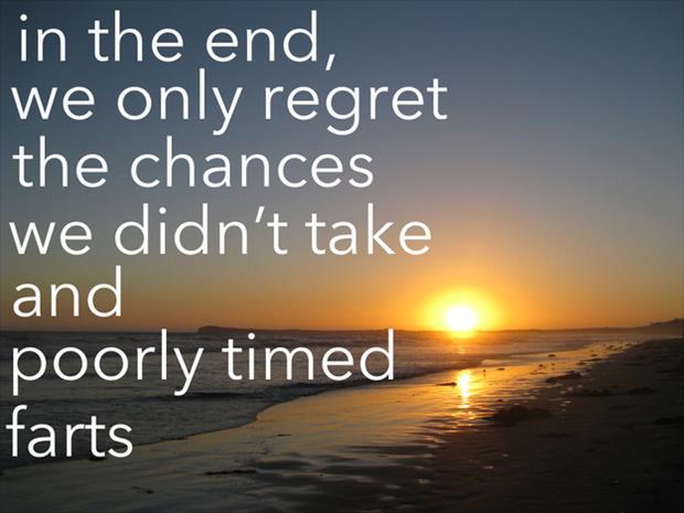 In The End We Only Regret The Chances Funny Inspirational Saying Picture