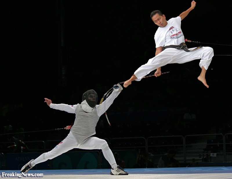 Karate Kicking In Fencing Funny Picture