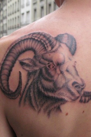 Left Back Shoulder Capricorn Head Tattoo
