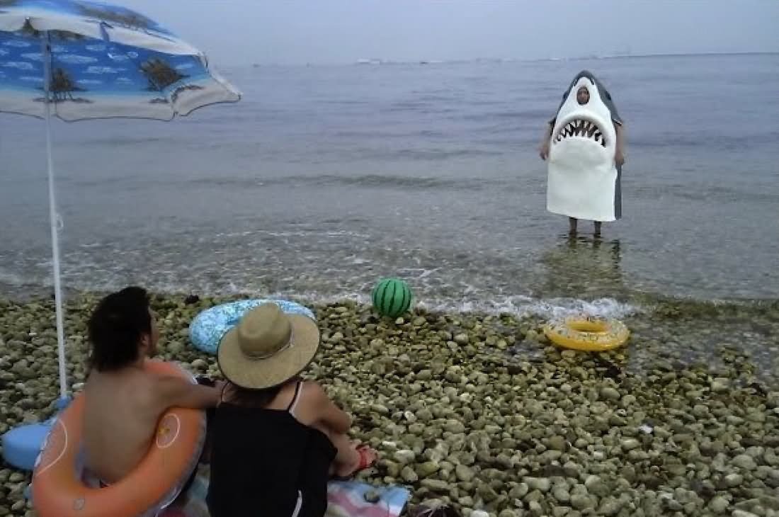 Man In Shark Costume On Beach Funny Picture For Whatsapp