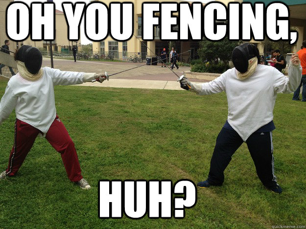 Oh You Fencing Funny Picture