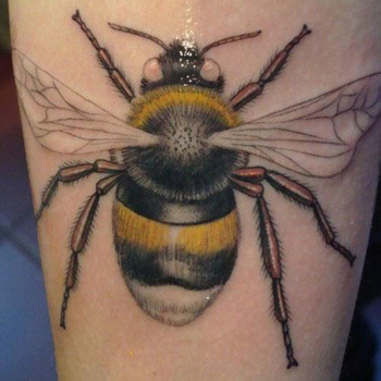 Realistic  Bee Tattoo Design For Forearm
