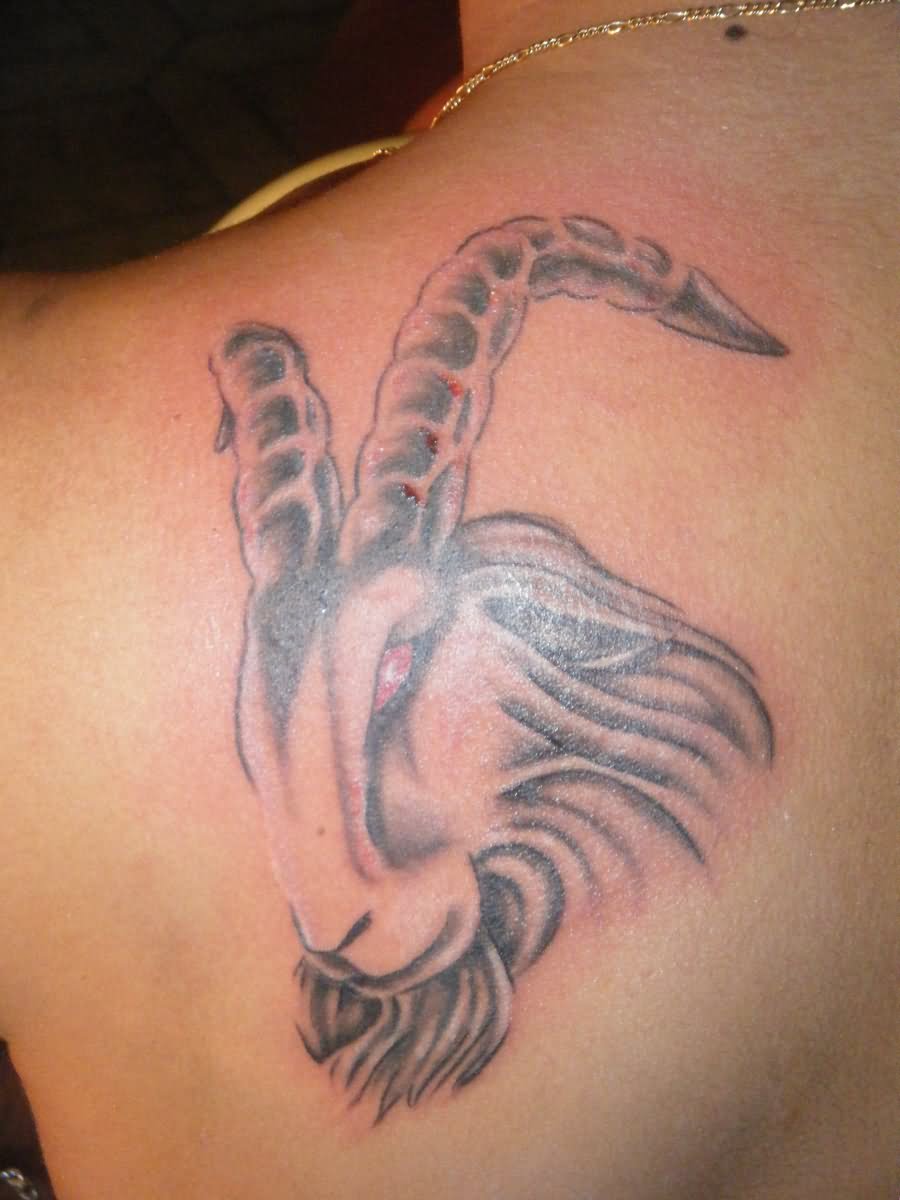 Red Eye Grey Ink Capricorn Tattoo On Left Back Shoulder