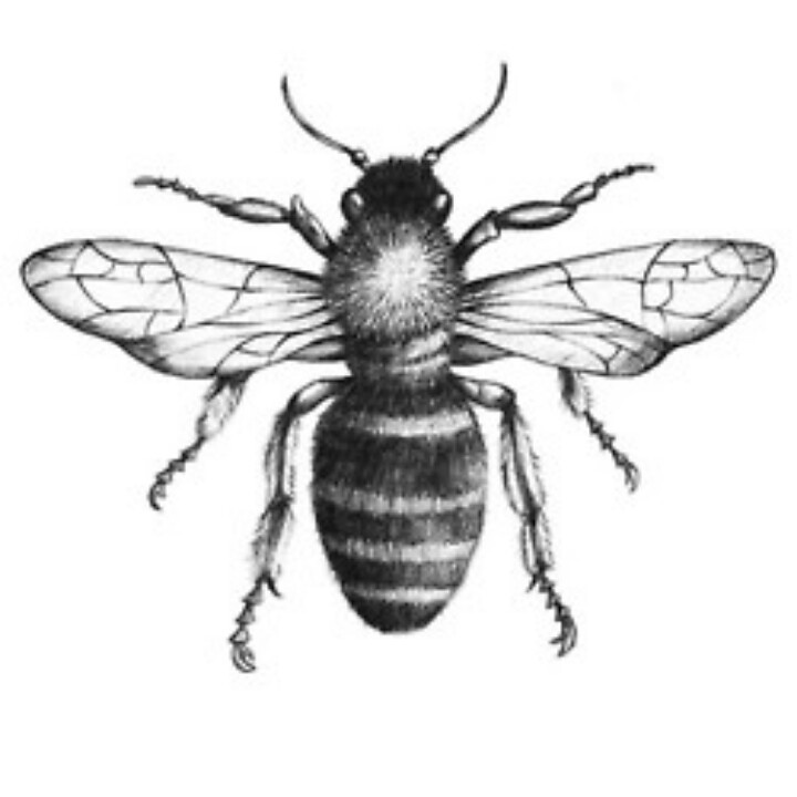 Simple Black And Grey Bee Tattoo Design