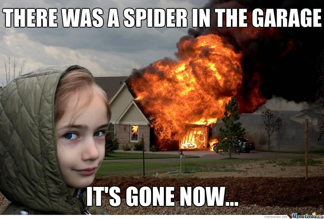 There Was A Spider In The Garage It's Gone Now Funny Burn Image