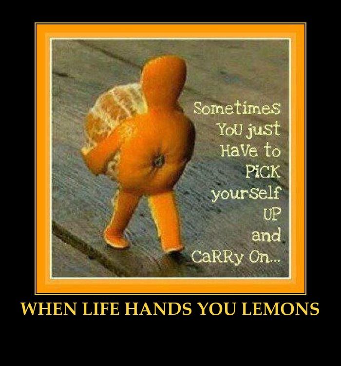 When Life Hands You Lemons Funny Inspirational Image