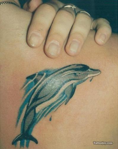 Aqua Color Dolphin Tattoo On Right Back Shoulder