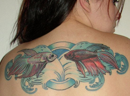 Aqua Color Two Fish Tattoo On Girl Upper Back