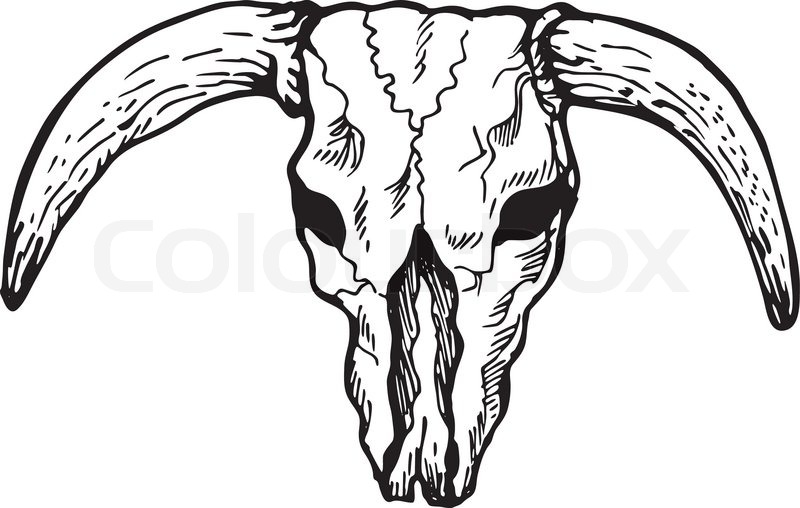 Black Cow Skull Tattoo Stencil