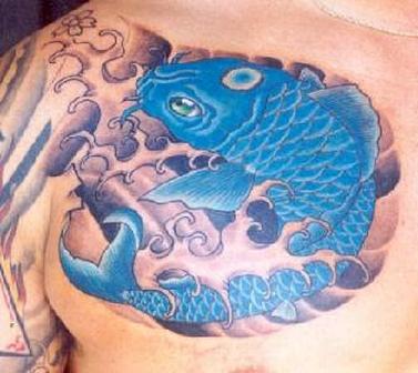 Blue Koi Fish Aqua Tattoo On Right Front Shoulder