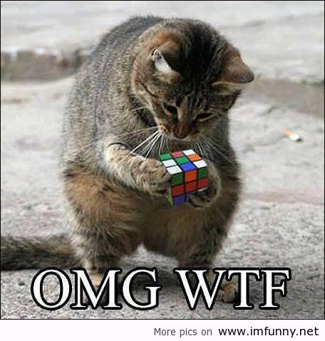 Cat With Cube Box Funny Omg Wtf Image