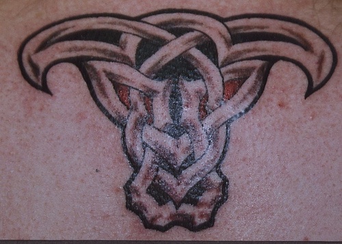 Celtic Cow Skull Tattoo Design