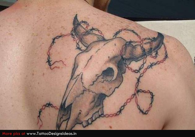 Cow Skull Tattoo On Man Right Back Shoulder