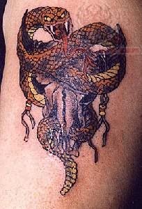 Cow Skull With Snake Tattoo Design