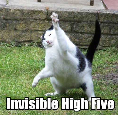 Funny Cat Invisible High Five Image