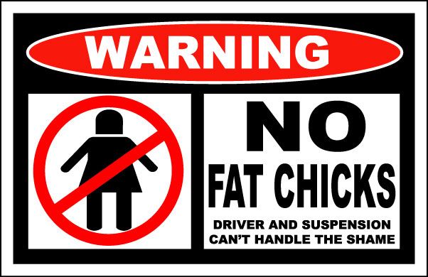 Funny Warning No Fat Chicks Sticker Image