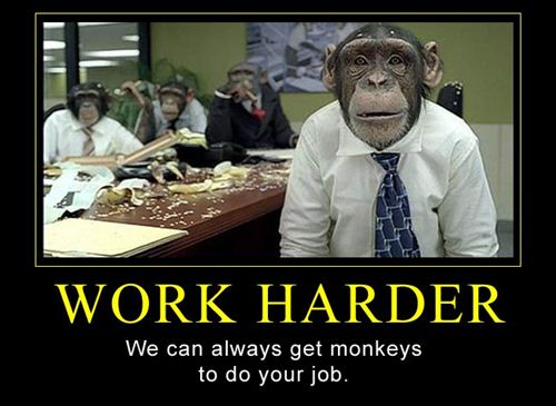 Funny Work Harder Picture