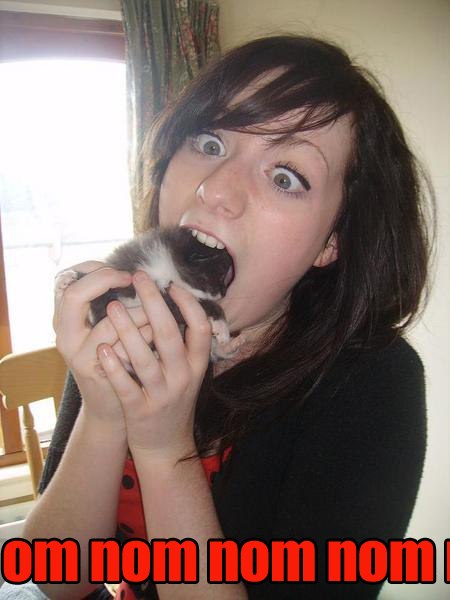 Girl Eating Kitten Funny NOM NOM NOM Image