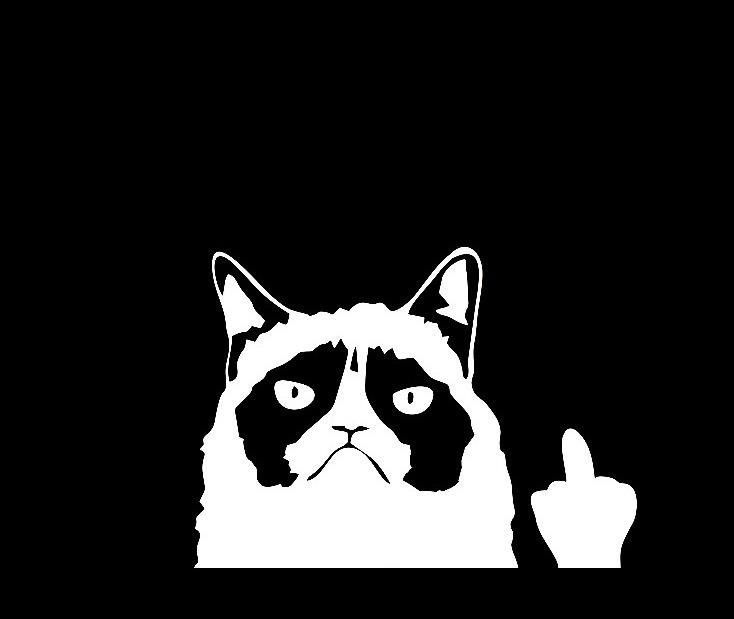 Grumpy Cat Showing Middle Finger Funny Sticker Picture