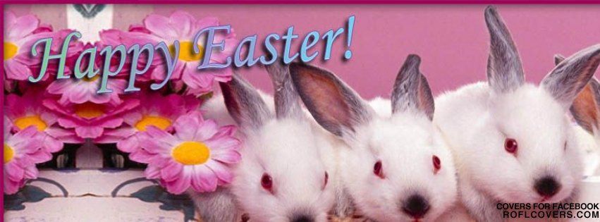 Happy Easter Bunnies Banner Photo