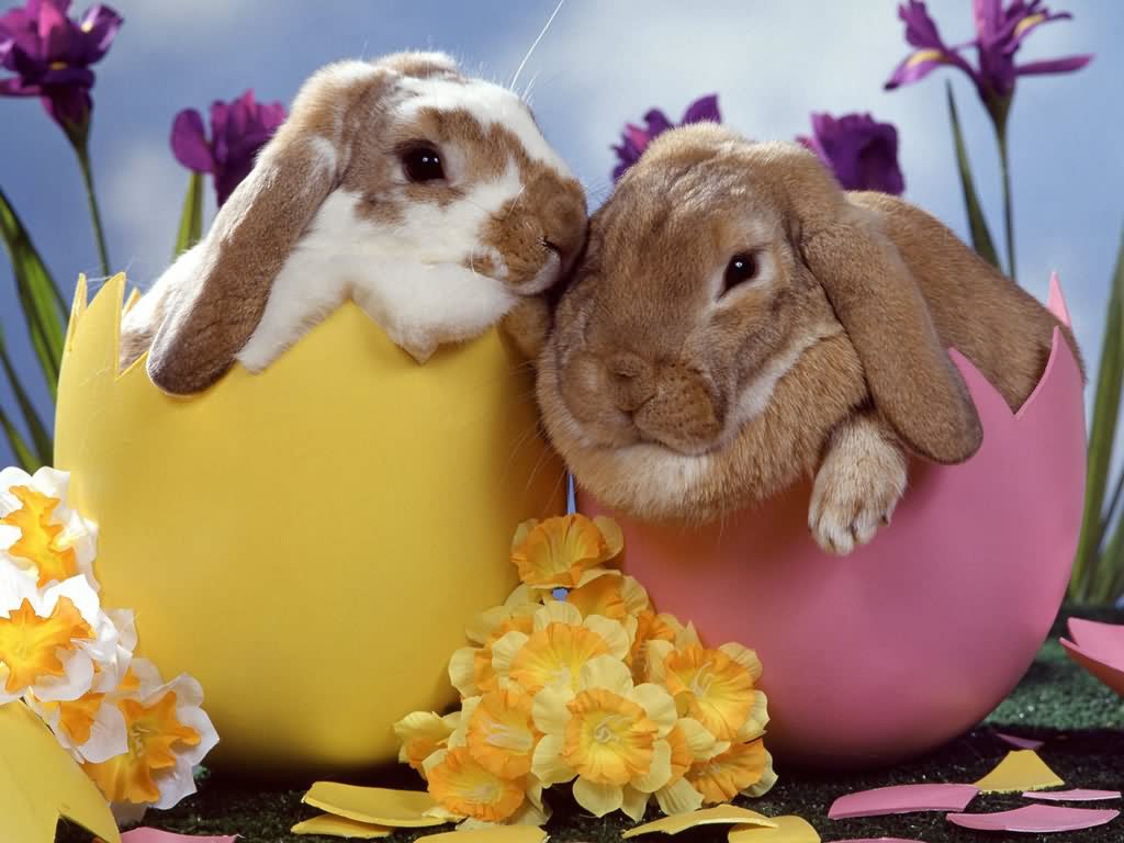 Happy Easter Bunnies Out Of Eggs