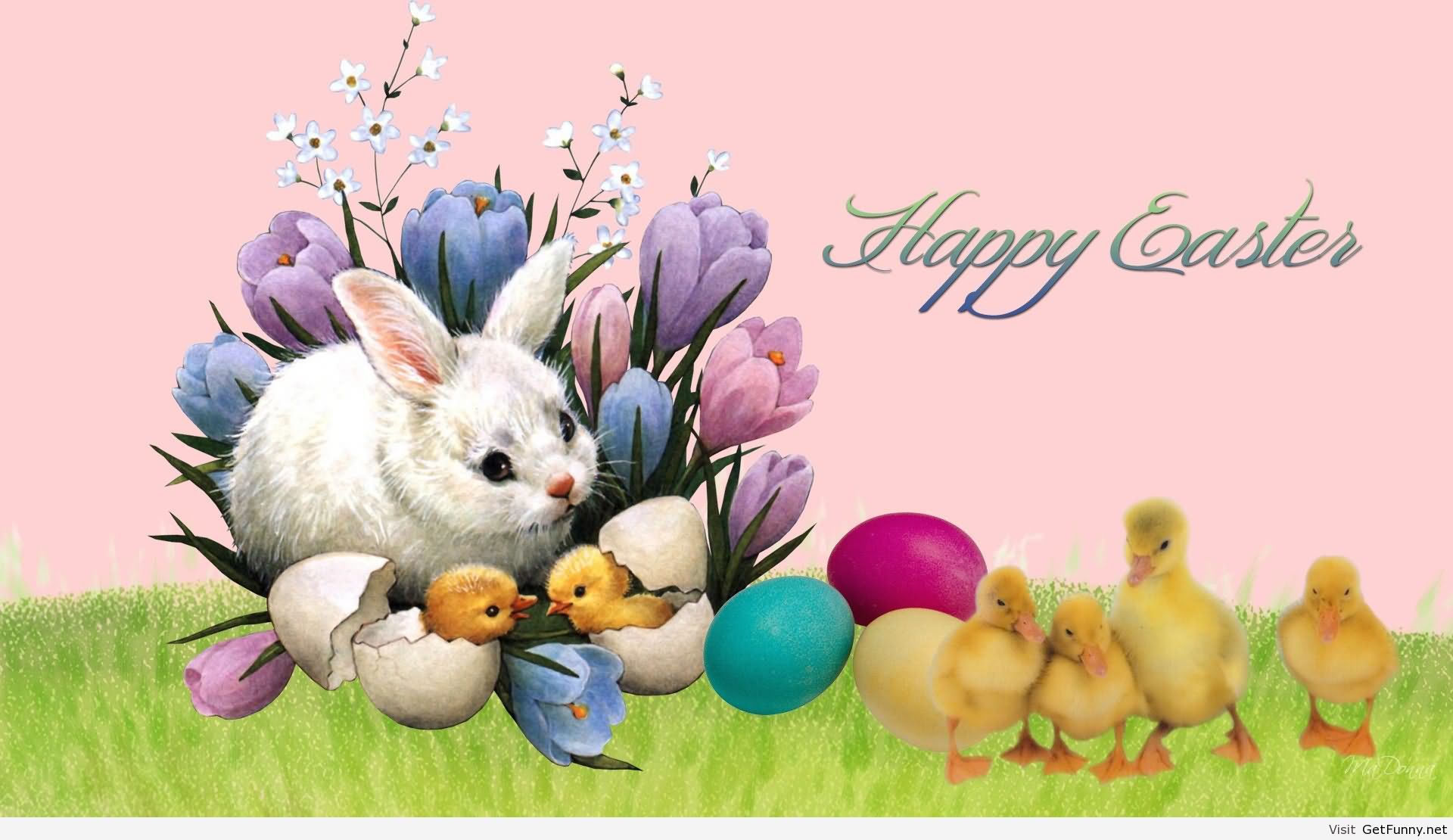 Happy Easter Bunny And Chickens